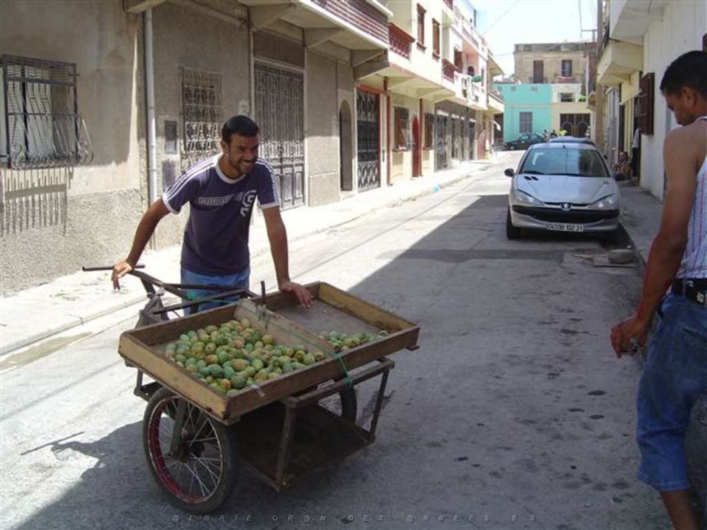 ORAN AOUT 2007 marchand de chumbos.JPG